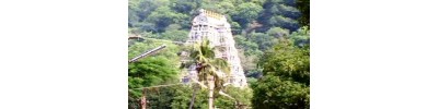 102. திருமாலிருஞ்சோலை (கள்ளழகர் கோயில்)